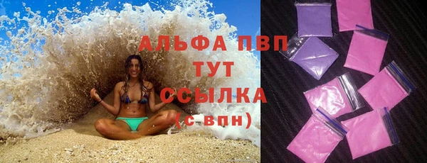 стаф Балахна