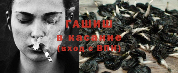 стаф Балахна