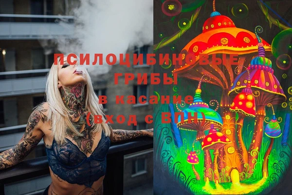 гидра Балабаново