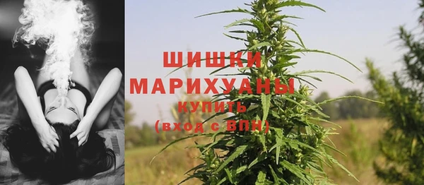 стаф Балахна