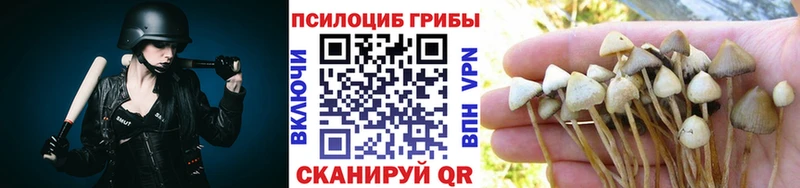 Галлюциногенные грибы мицелий  Ленинск 